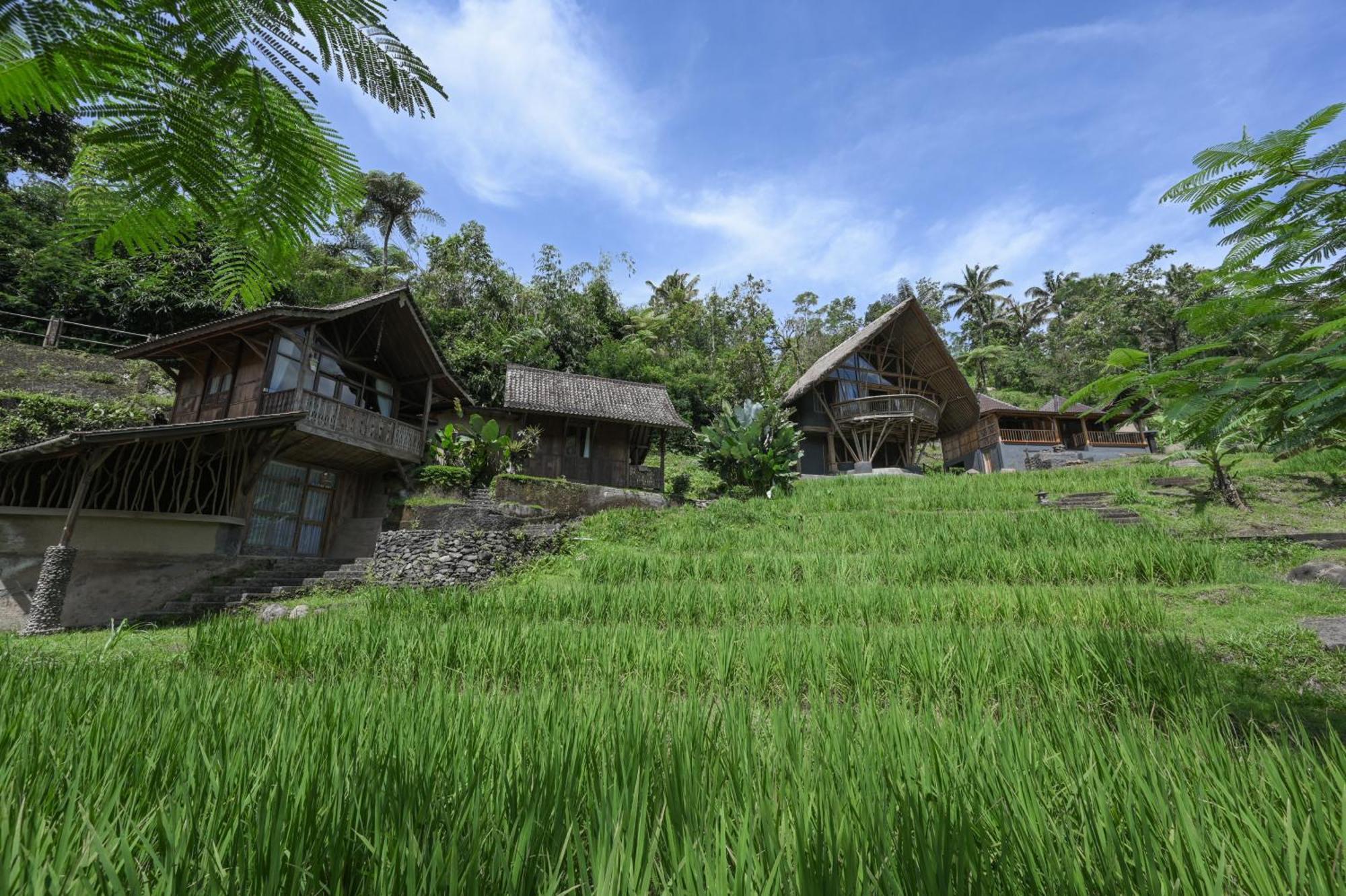 Keuma Villa & Resto Jatiluwih By The Lavana Eksteriør billede
