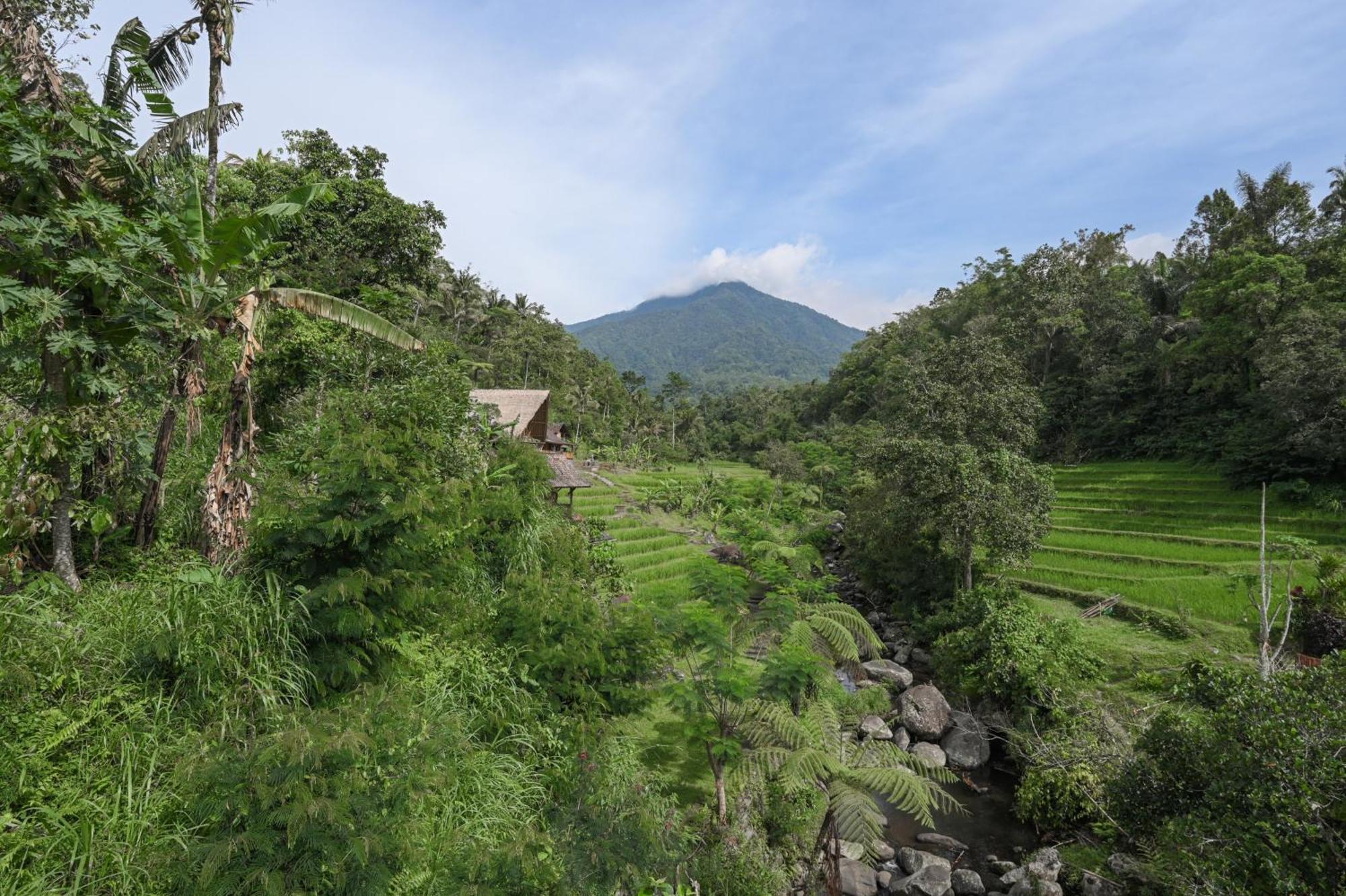 Keuma Villa & Resto Jatiluwih By The Lavana Eksteriør billede